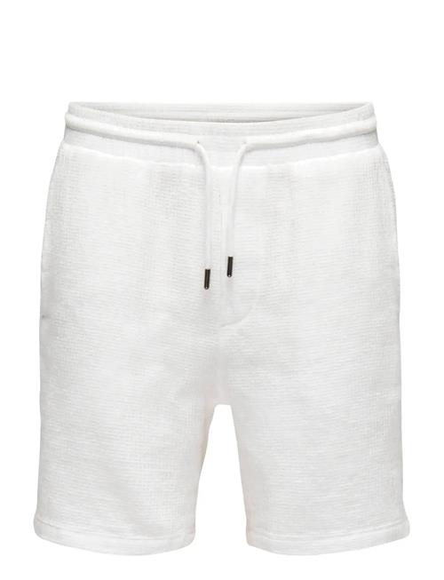 ONLY & SONS | Onsbertil Waffle Shorts | XS