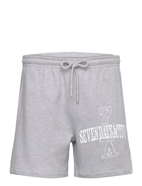 7 DAYS Active | Organic Sweatshorts | M