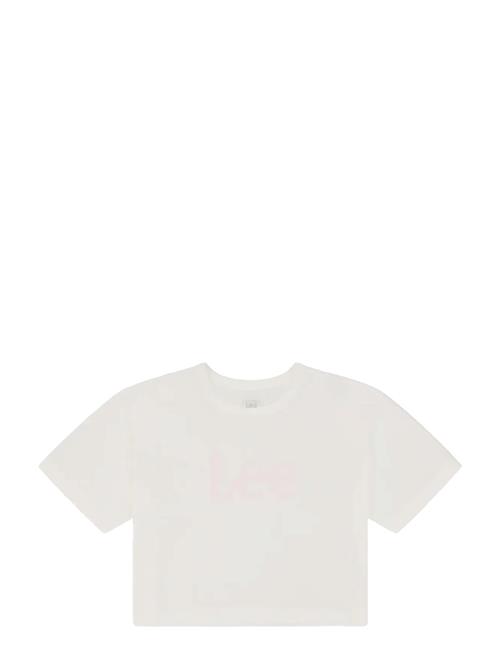 Lee Jeans | Ss Cropped Tee | M x 00