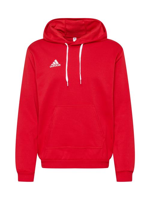 ADIDAS PERFORMANCE Sportsweatshirt 'Entrada 22'  rød / hvid