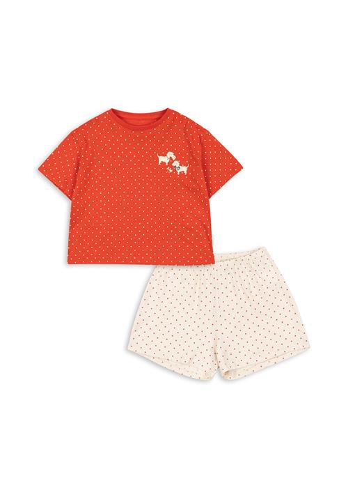 Konges Sløjd GOTS Famo Box T-shirt Og Shorts Fraise Dot  Fraise Dot 12 months  Rød  12 måneder  kvinde