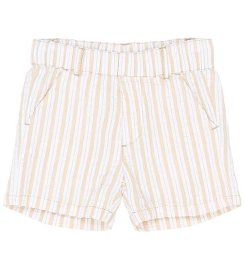 Se The New Shorts - TnstSmitty - Humus Striped hos KidsWorld