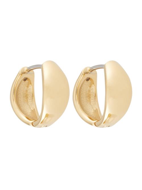 FOSSIL Øreringe 'ELLIS'  guld