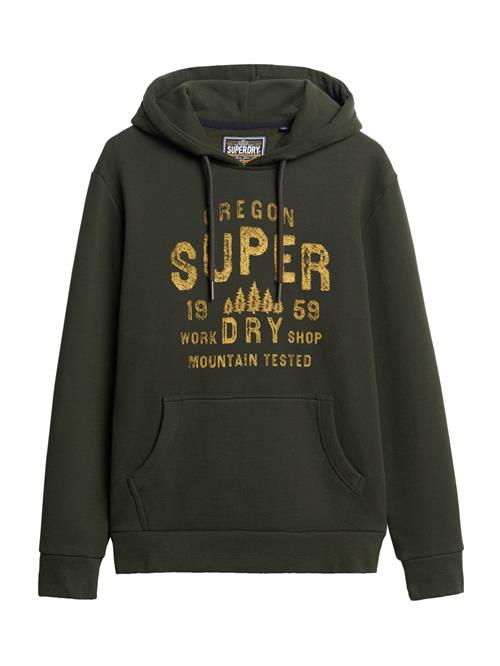 Superdry & Co Sweatshirt  khaki / oliven
