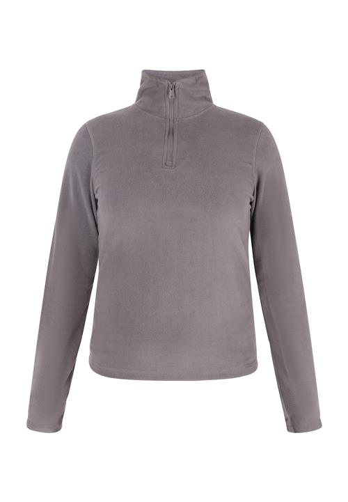 NALLY Pullover  grå