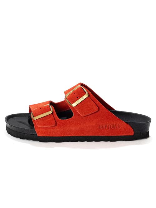 Bayton Pantoletter 'Atlas'  hummer