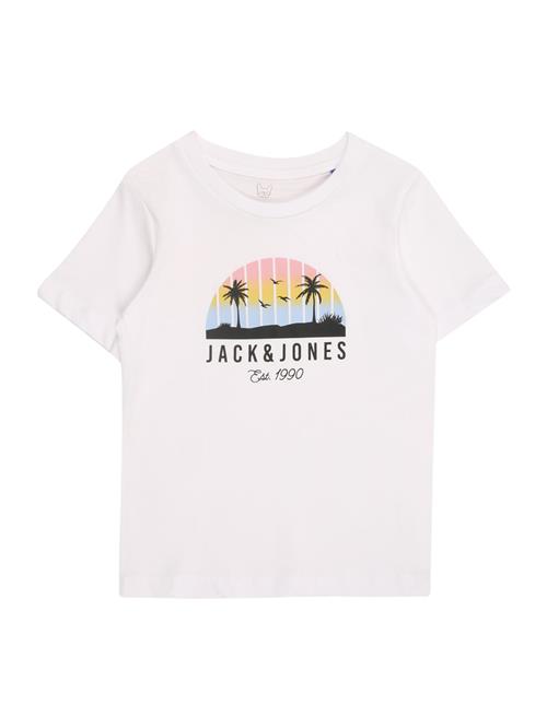JACK & JONES MINI Shirts 'JJPalm'  lyseblå / lyserød / sort / hvid