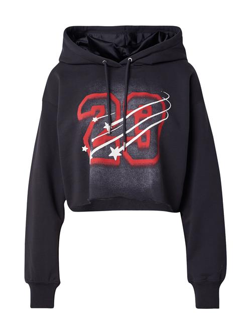 Jordan Sweatshirt  rød / sort / hvid