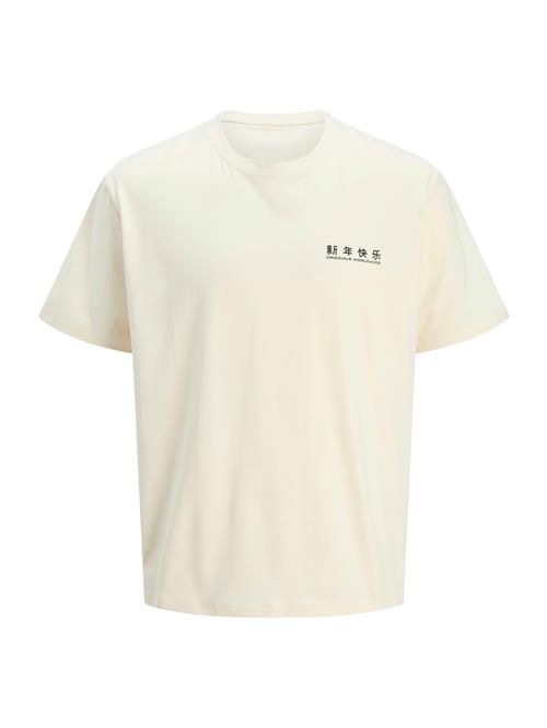 JACK & JONES Bluser & t-shirts 'JORSNAKE'  sort / hvid