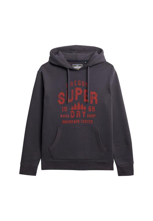 Superdry & Co Sweatshirt  mørkegrå / rød