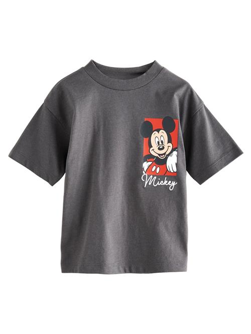 Next Shirts  grafit / rød