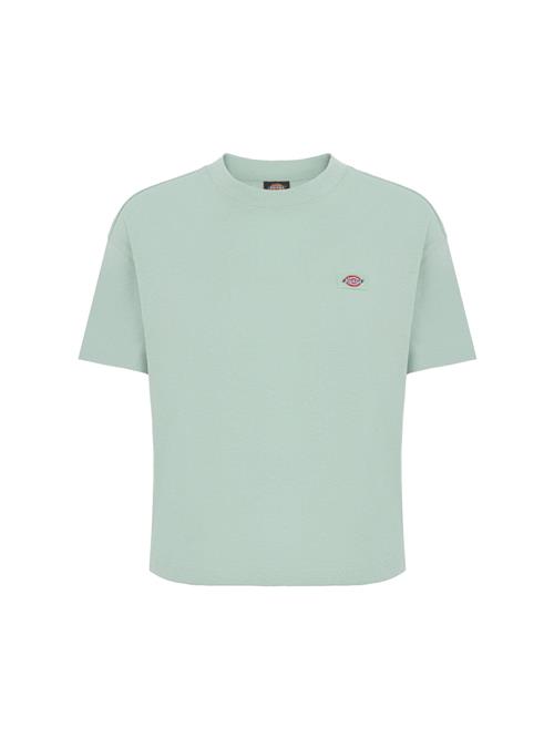 DICKIES Shirts 'OAKPORT'  lysegrøn