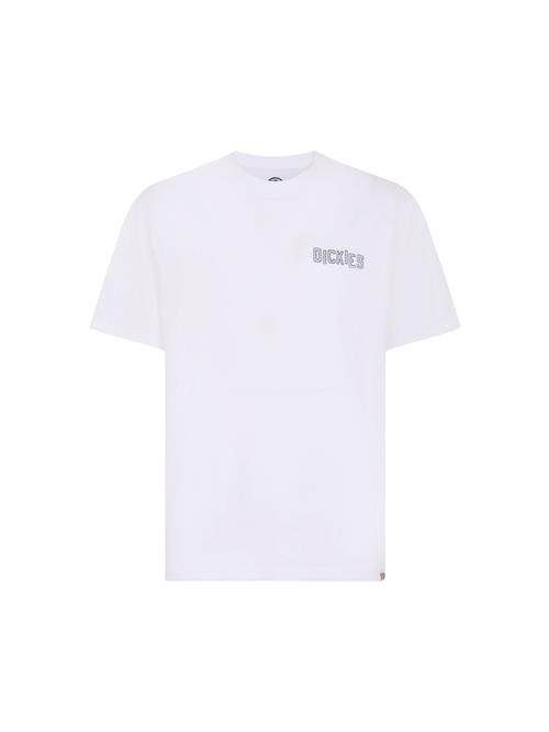DICKIES Bluser & t-shirts 'BRICKLANE'  grå / hvid