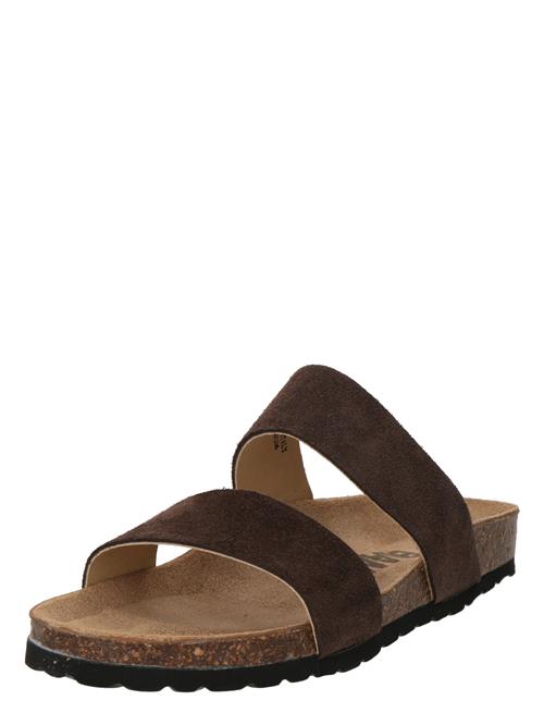 Bianco Pantoletter 'Betricia'  brun