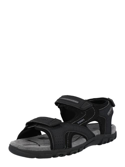 GEOX Trekkingsandaler 'Uomo Strada'  grå / sort