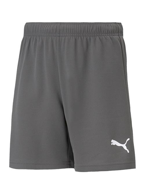 PUMA Sportsbukser 'TeamRise'  grå / hvid