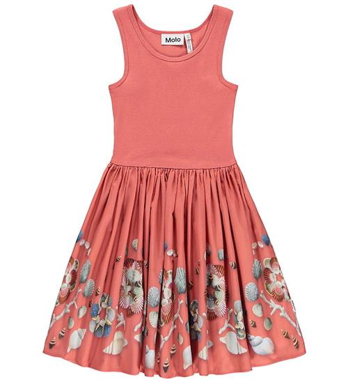 Molo Kjole - Rib - Cassandra - Decoration Shells