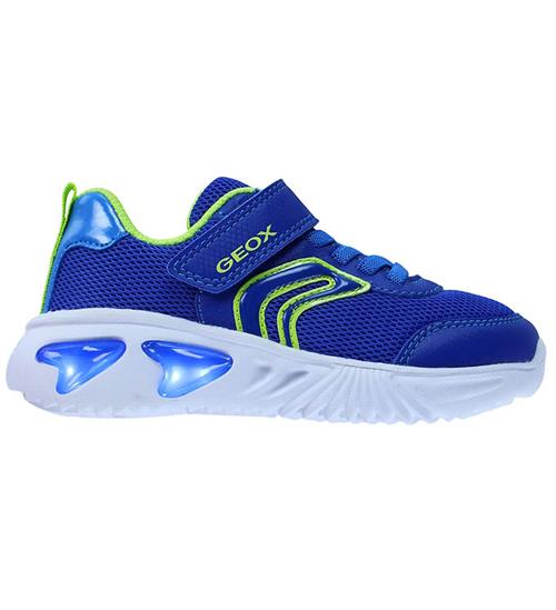 Geox Blinkesko - J Assister B - Royal/Lime