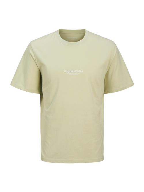 Jack & Jones Junior Shirts 'JORVESTERBRO'  pastelgrøn / hvid