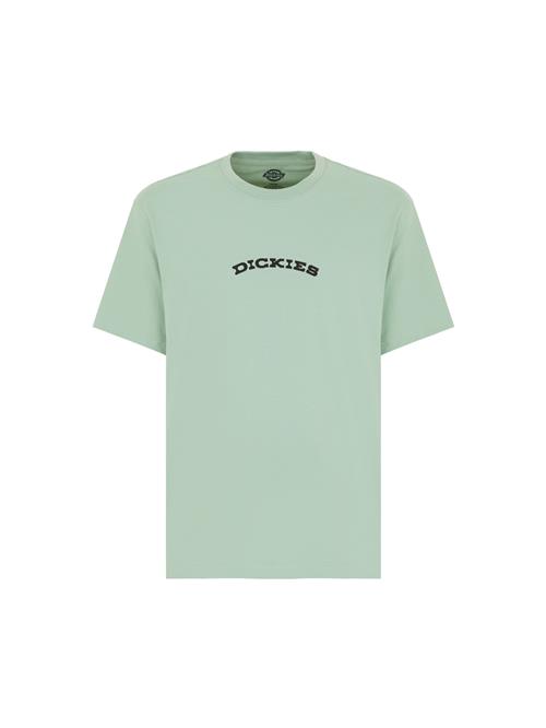 DICKIES Bluser & t-shirts  grøn / sort