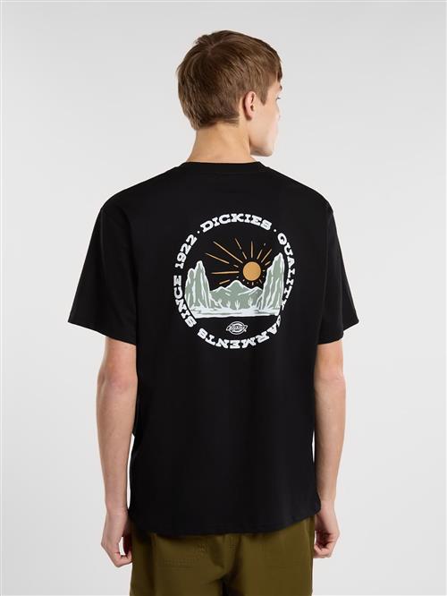 DICKIES Bluser & t-shirts  safran / lysegrøn / sort / hvid