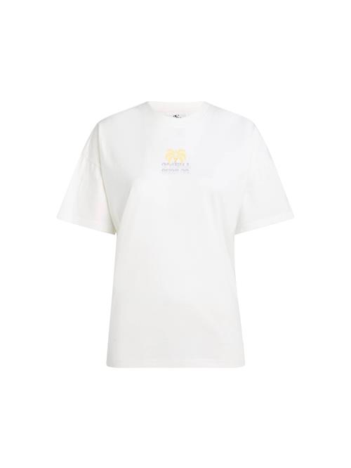 O'NEILL Shirts  blandingsfarvet / hvid