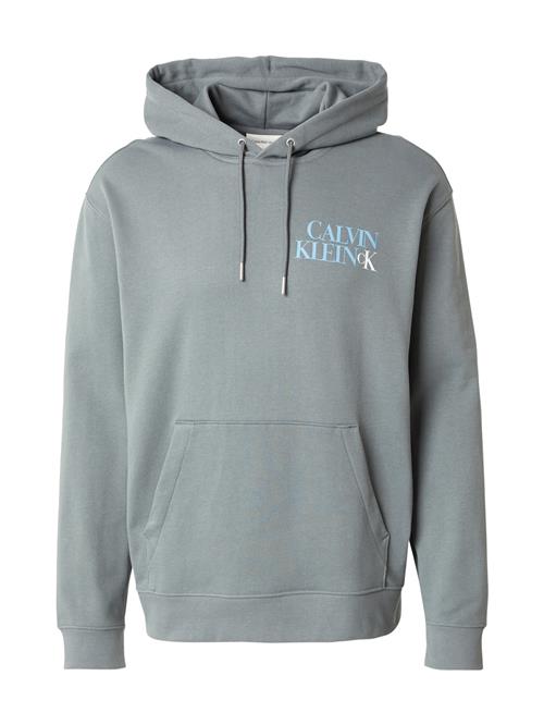 Calvin Klein Jeans Sweatshirt  pastelblå / grå / hvid