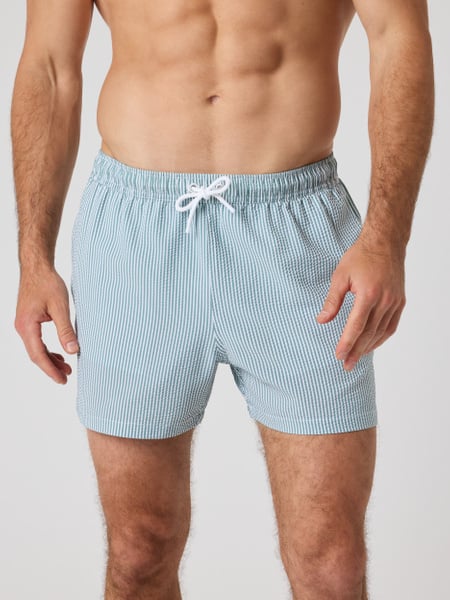 Björn Borg Borg Seersucker Swim Shorts Blå, L