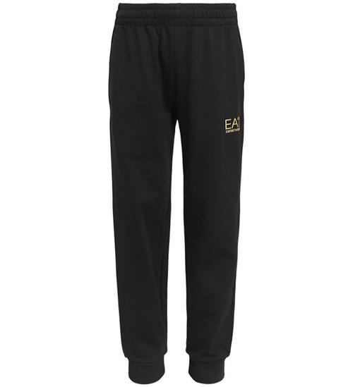 EA7 Sweatpants - Black/ Gold