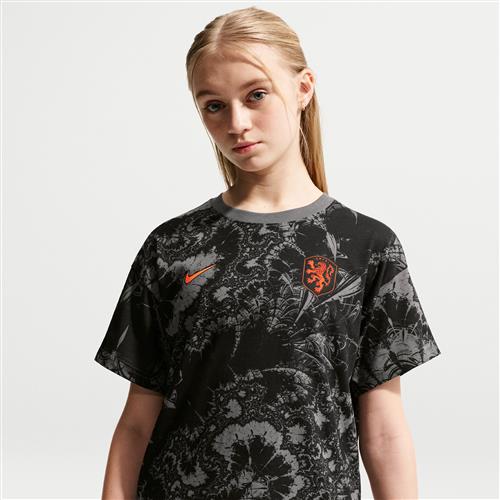Holland Nike Football-T-shirt til større børn - grå