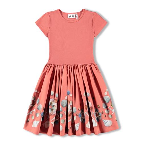 Molo GOTS Cissa Kjole Decoration Shells  Decoration Shells 110/116 cm  Lyserød  110/116 cm  kvinde