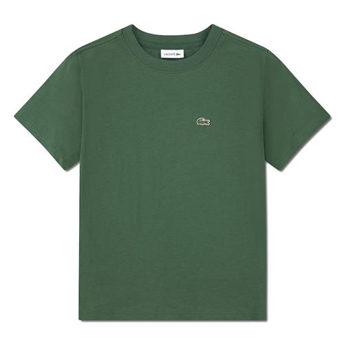 Lacoste T-shirt Vert Vert 122 cm  Grøn  122 cm  mand