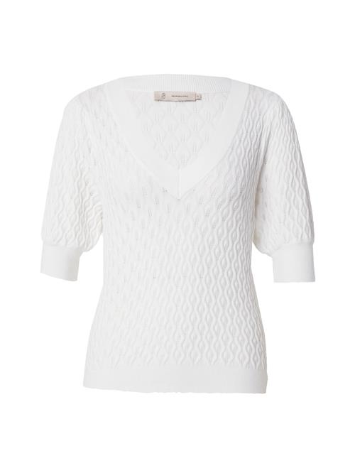 Peppercorn Overdel 'Rosalia'  hvid