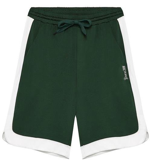 Grunt Shorts - GRVolly - Dark Green