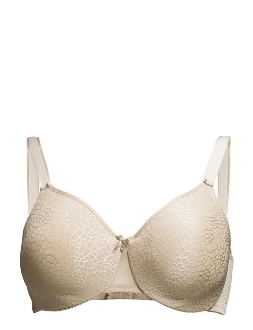 CHANTELLE | C Magnifique Very Covering Bra | F x 75