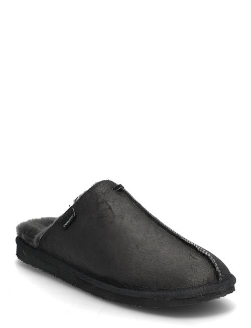 Shepherd | Hugo Tofflor | 41