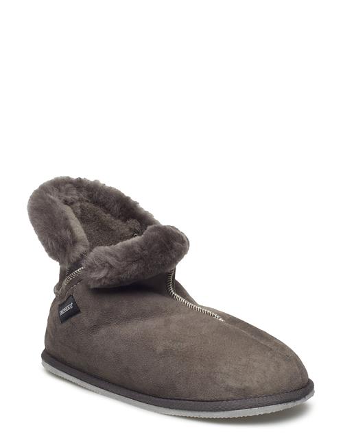 Shepherd | Oskar | 42