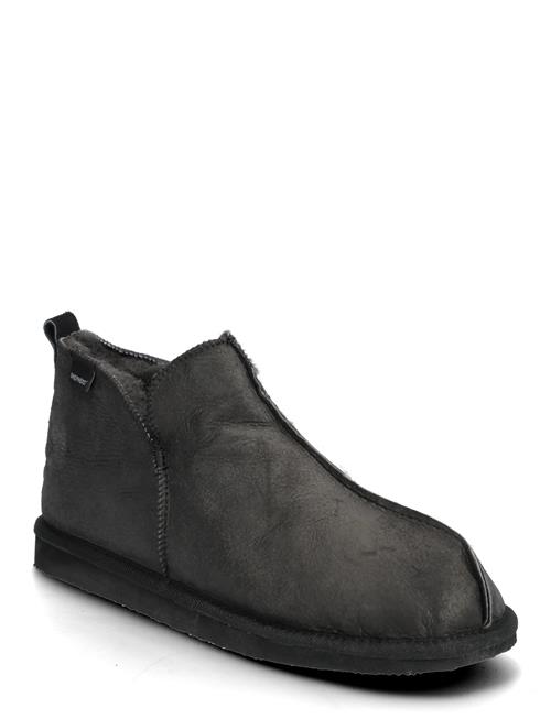 Shepherd | Anton Tofflor | 45