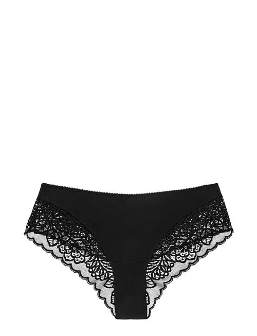 Triumph | Amourette Spotlight Hipster X | 42