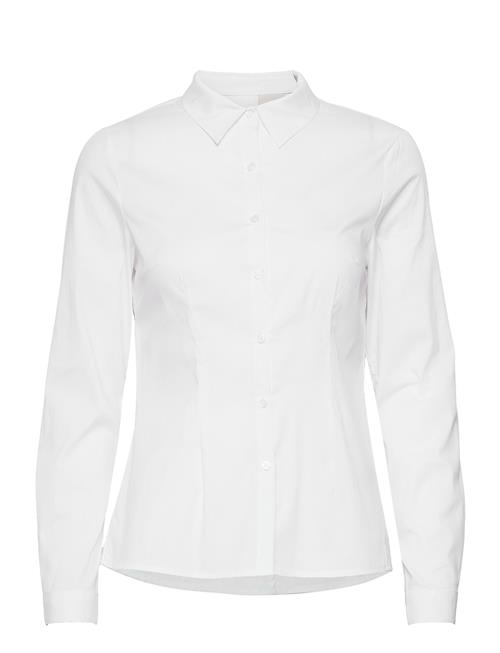 ICHI | Ihdima Sh | 44