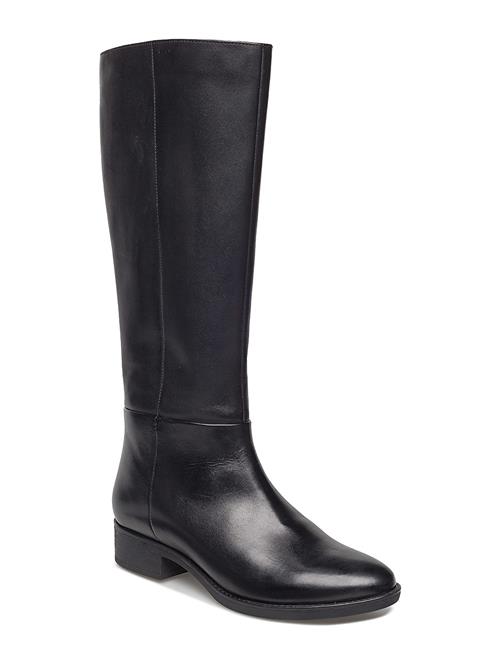 GEOX | D Felicity D | 36