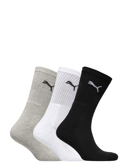 PUMA | Puma Unisex Crew Sock 3P | 35-38