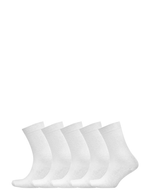 Decoy | Decoy Ankle Sock Cotton 5-Pk | 37-41