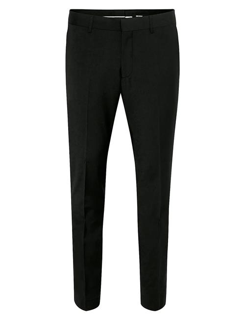 Matinique | Vincent | 56 x 87