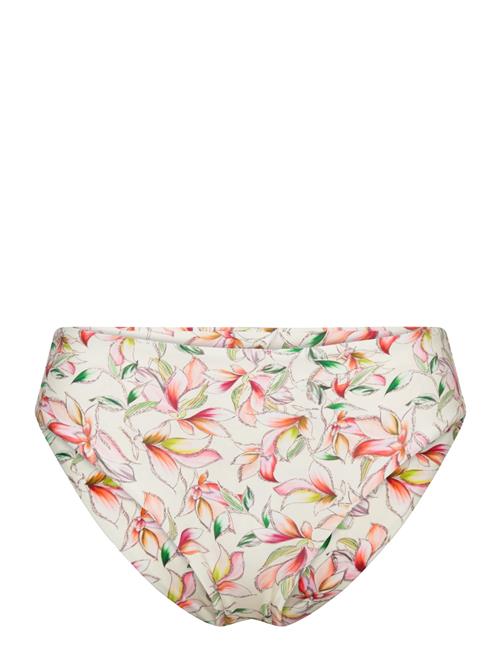 Missya | Lucca Tai | 36