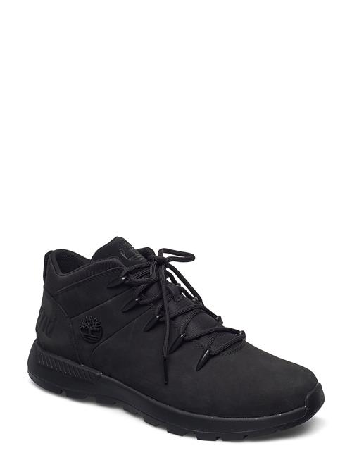 Timberland | Mid Lace Up Sneaker | 42