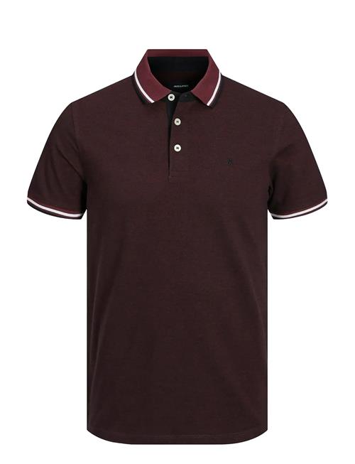 Jack & Jones | Jjepaulos Polo Ss Noos | S