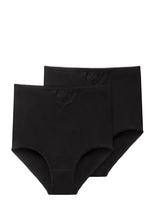 Schiesser | Maxi Brief | M