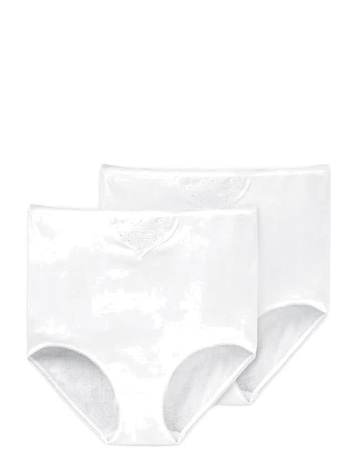 Schiesser | Maxi Brief | XXL