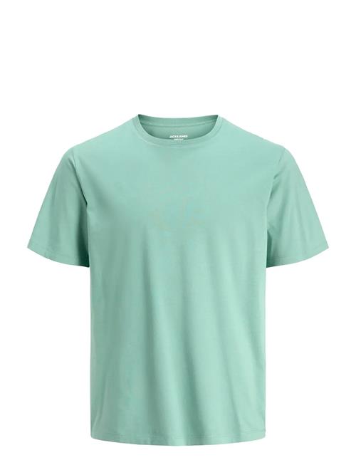 Jack & Jones | Jjeorganic Basic Tee Ss O-Neck Noos Jnr | 164